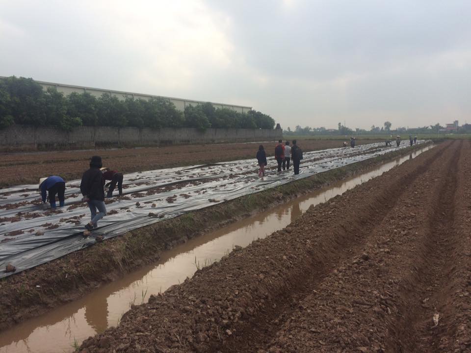 Cau-hoi-cua-bac-nong-da