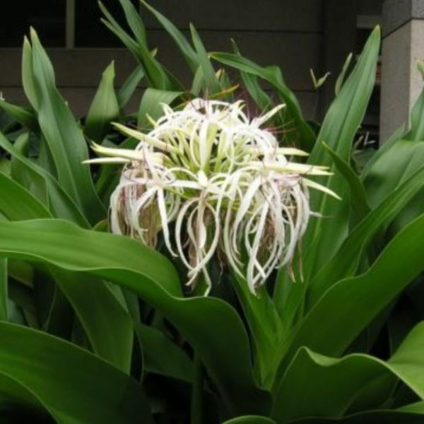 trinh-nua-hoang-cung trinh-nu-hoang-cung