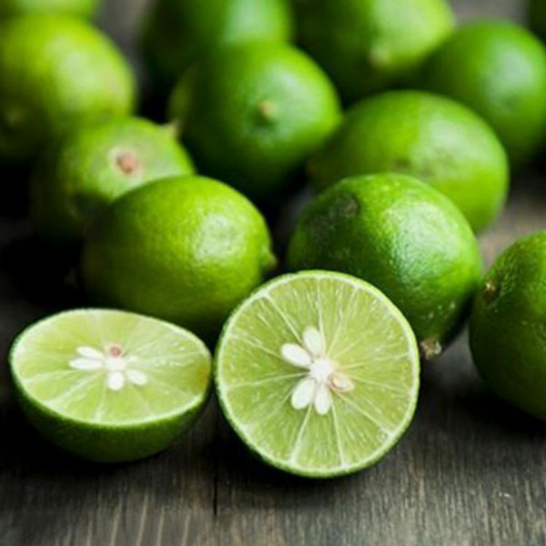 capture-20-1 cay-chanh-ta