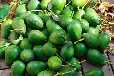 QUY-TRINH-CHAM-SOC-BO-BOOTH