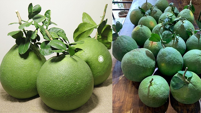 buoi_da_xanh_bi_so_trai_2708144821