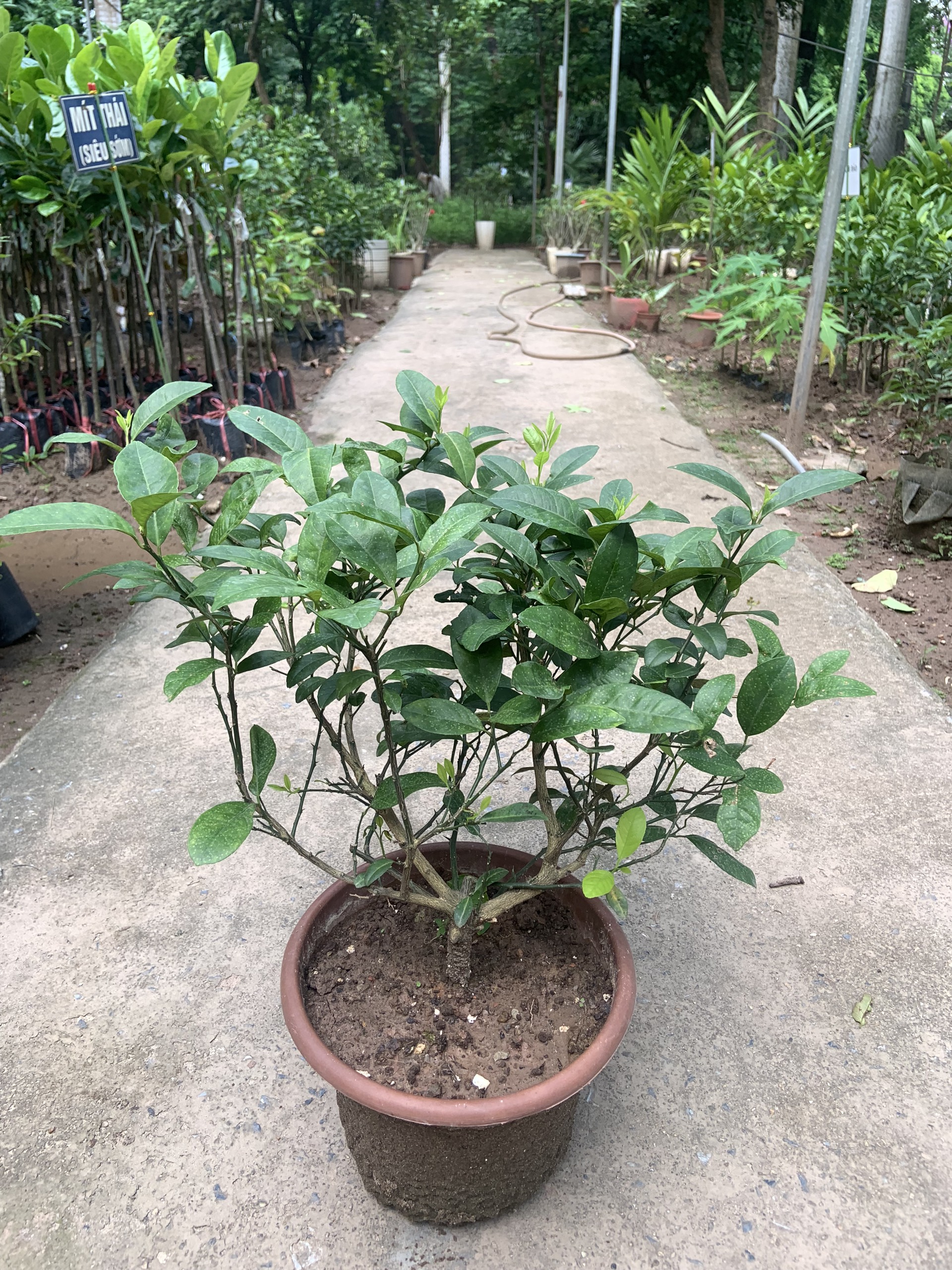 z5441977794590_9ad21e0be60af4e774b6dd978401b3f8