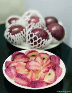 Vú sữa mica sau khi cắt