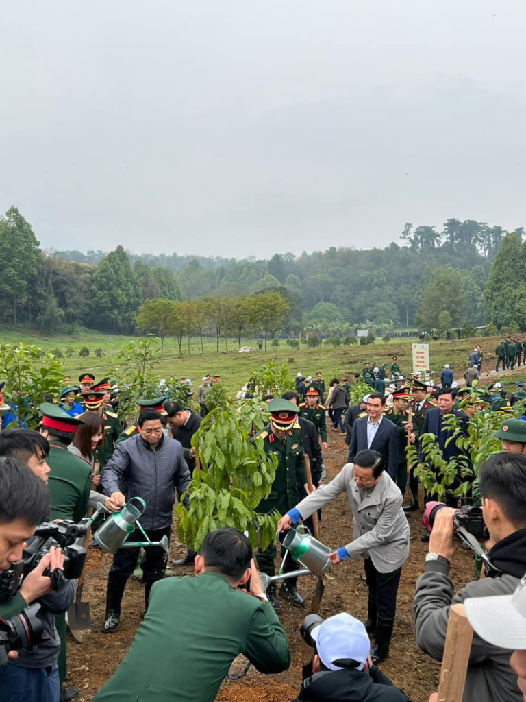 Thủ Tướng Chính Phủ Phạm Minh Chính cùng các đại biểu tham gia trồng cây