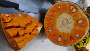 Mít ruột đỏ Indo-Loại trái cây rất được ưa chuộng hiện nay